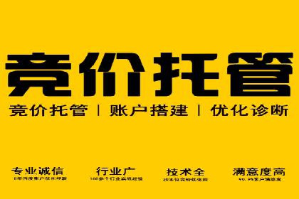 解析某某SEM服务公司的广告投放策略与效果评估